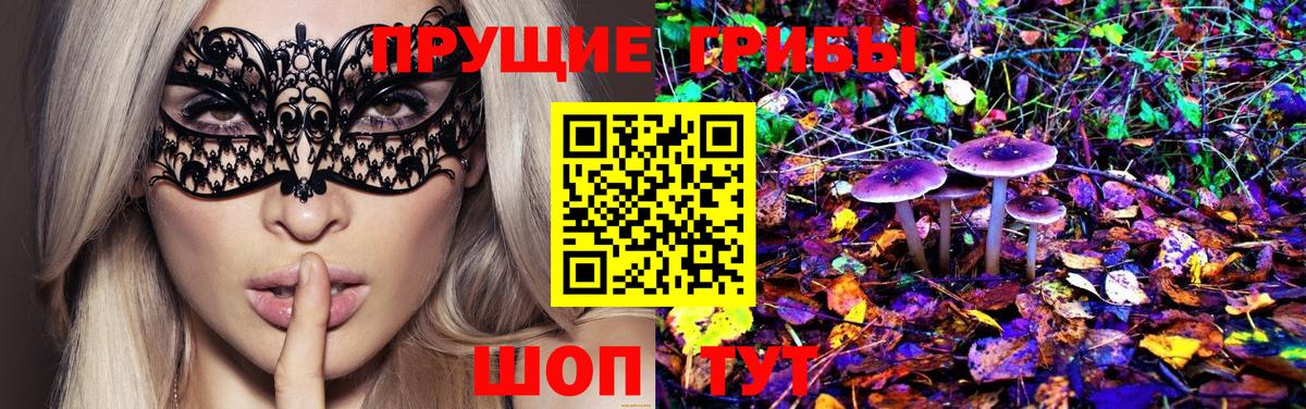 Галлюциногенные грибы Cubensis  Вход с VPN  цены   Бахчисарай 