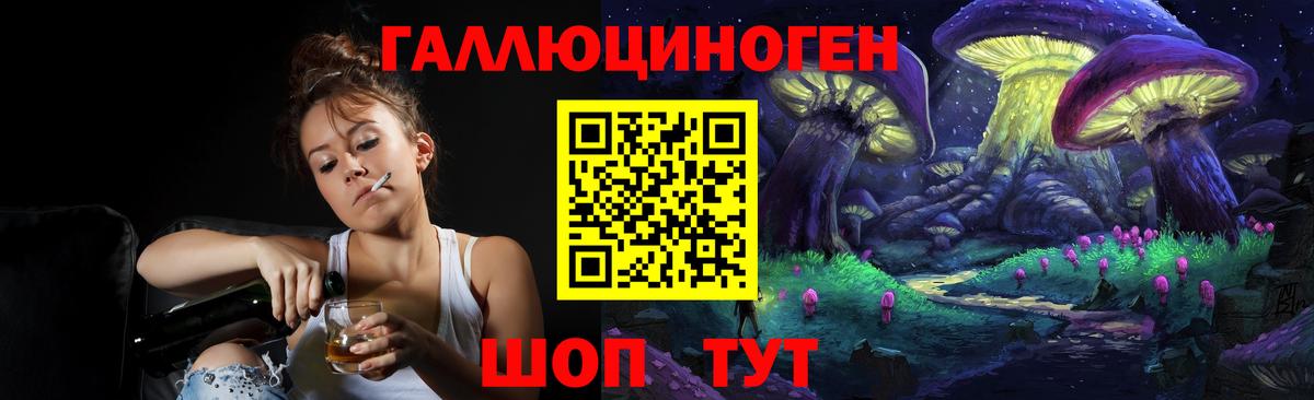 Галлюциногенные грибы Psilocybine cubensis Бахчисарай